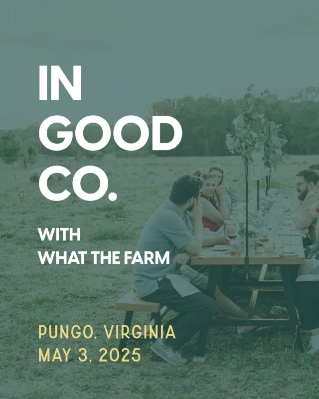 Golden hour, local flavor and wine that showed up for every bite. ✨🍷
Big love to @whatthefarmvb for bringing people together so beautifully. We had the joy of curating pairings for a twighlight dinner at What the Farm. It was a stunning night celebrating community, connection and seriously good food + wine.
We’re always here to help elevate your next gathering — with wines that tell a story and pair like a dream.
📸@amber.breitenberg
#farmdinner #winepairing #goldenhourmagic #alwaysingoodcompany