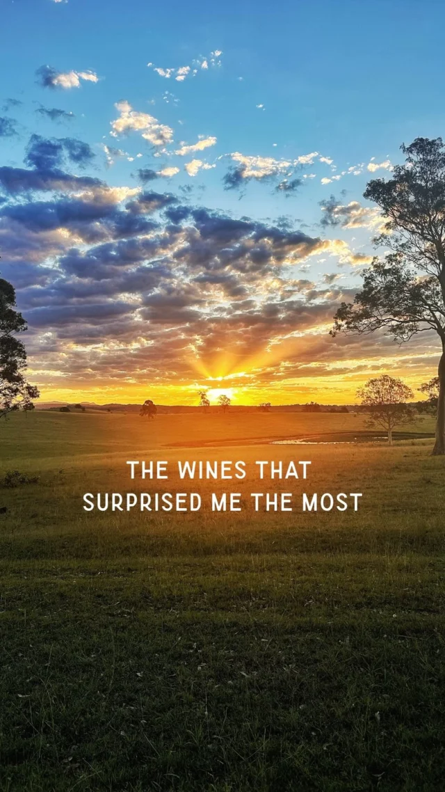 Australia’s oldest wine region, but not what I expected.

Hunter Valley feels both deeply historic and quietly evolving — where tradition and experimentation exist side by side in a way that makes you rethink what warm-climate wine can be.

This was one of the most surprising and memorable stops of the trip.

#huntervalleywine #winelovescompany @huntervalley @ushertinklerwines @harkhamwines @gundogestate