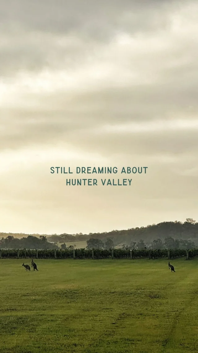 Still dreaming about Hunter Valley.

Great views, even better wine and not enough time.

#huntervalley #winelovescompany
